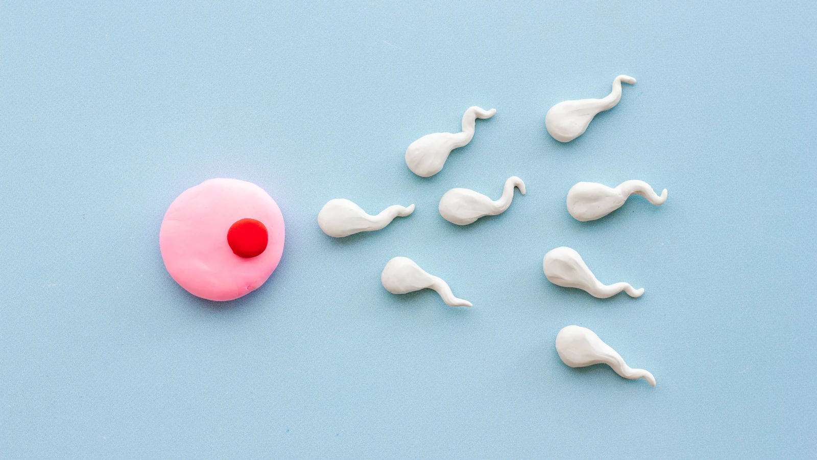 Colourful healthy meal for fertility